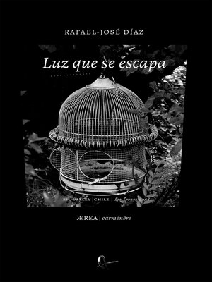 cover image of Luz que se escapa